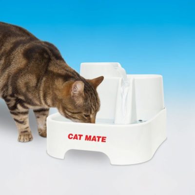 https://www.dealdoktor.de/app/uploads/2018/05/PetMate-80850-Cat-Mate-Trinkbrunnen-1-400x400.jpg