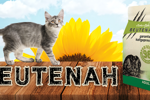 Gratisprobe für Katzen bei Futtershop