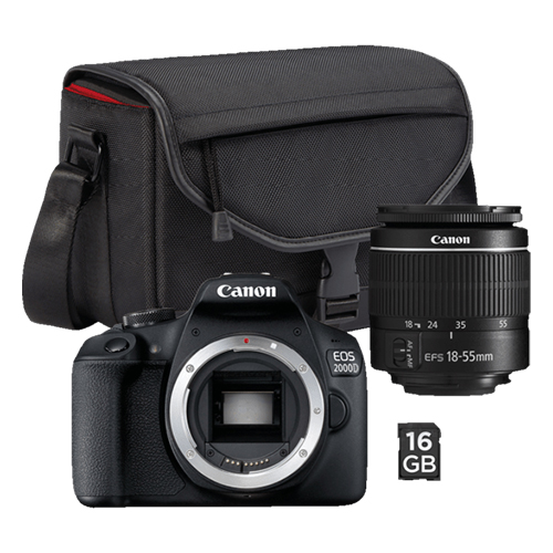 Canon eos 2000d kit примеры фото