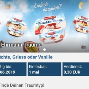 Ehrmann Träume einmalig mit 0,05 € Gewinn bei Rewe (reebate)