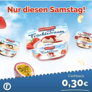 Nur am 07.03.: Ehrmann Früchtetraum mit 11 Cent Gewinn (Reebate)