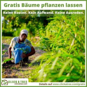 GRATIS 1 Baum kostenlos pflanzen mit B&#039;n&#039;Tree-Aktion für Newsletter