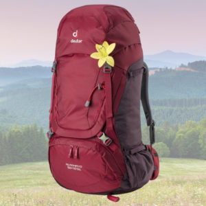 🎒 Deuter Wanderrucksack Alpamayo für 63,94€ (statt 151€)