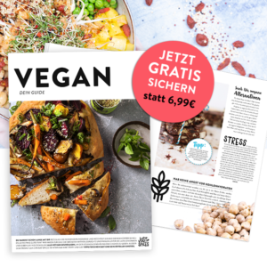 GRATIS Guide mit neuen Rezepten und Ideen für die vegetarische oder vegane Küche bei Just Spices für Newsletter