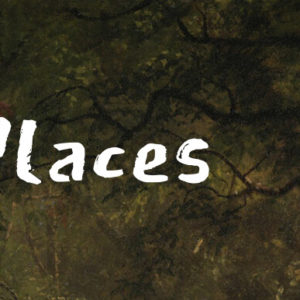 GRATIS Spiel „In Wild Places“ kostenlos downloaden bei itch.io