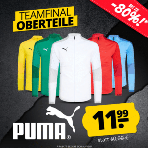 PUMA teamFINAL 1/4 Zip Herren Sweatshirt oder Trainingsjacke