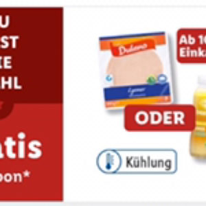 Dulano Lyoner oder Solevita Smoothie ab 10€ MBW Lidl App