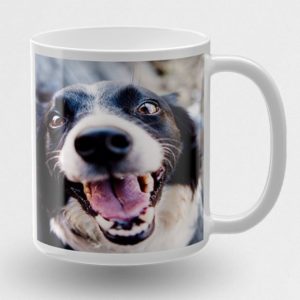 🔥😍 4 Stück personalisierte Foto-Tassen für 10,91€ inkl. Versand - 2,73€ pro Tasse