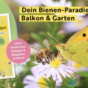 GRATIS Ebook &#034;Dein Bienengarten&#034; vom Umweltinstitut München 