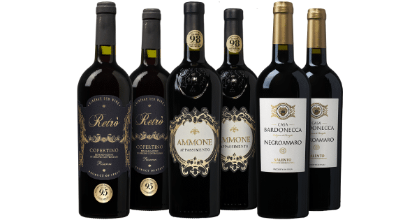 🤩 Weinpaket Primitivo & Negroamaro für 39,99€ - 6 Flaschen italienischer  Wein
