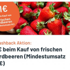 1€ Cashback beim Kauf von Erbeeren MEW 5€ Shmaggle App