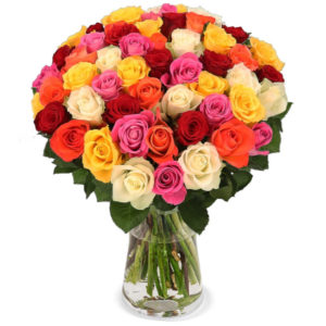 💐 Strauß mit 50 bunten Rosen für 22,99€ zzgl. Versand (bei Blume Ideal)