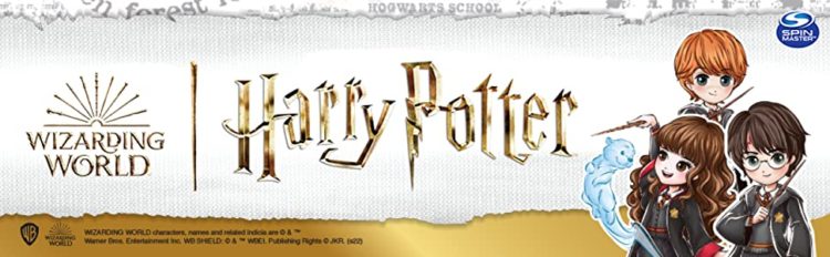 ⚡️ Harry Potter-Merch: mehr der vieles Hut und Zauberstäbe, Sprechende