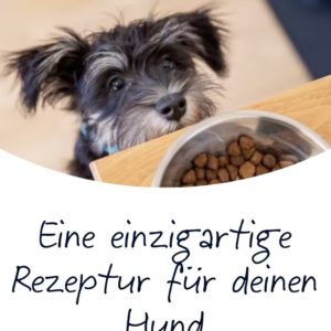 GRATIS 2 Wochen gratis Hunde-Trockenfutter