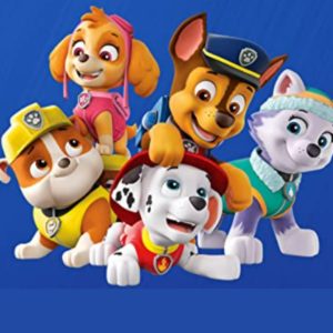 🐶 Paw Patrol Spielzeug bei Amazon