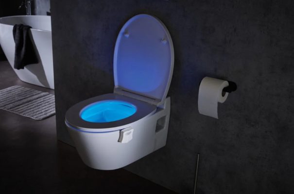 Versand LIVARNO LED-WC-Licht für 🚽 home zzgl. 4,99€