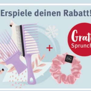 Gratis invisibobble® Sprunchie Ballerina Spiralhaargummi