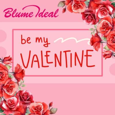 Thumbnail Blume Ideal: 14% Valentinstag-Gutschein auf (fast) ALLES