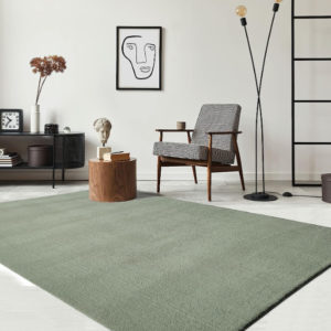 the carpet Relax Kurzflor Teppich 240 x 340 cm für 67,99€