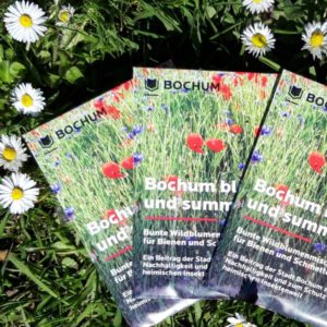 10.000 Wildblumen Saatgut-Tütchen kostenlos in Bochum -regional-