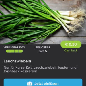 Lauchzwiebel für nur 0,39€ mit Marktguru