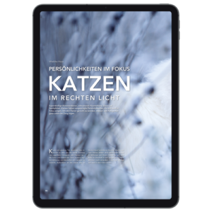 c’t Fotografie Magazin "Katzenfotografie" kostenlos als ePaper