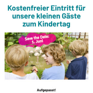 Kindertag im Tropical Island- Kinder bis 11 Jahre kostenlos am 01.06.23