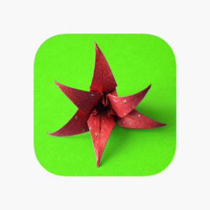 Origami Blumen (iOS App)