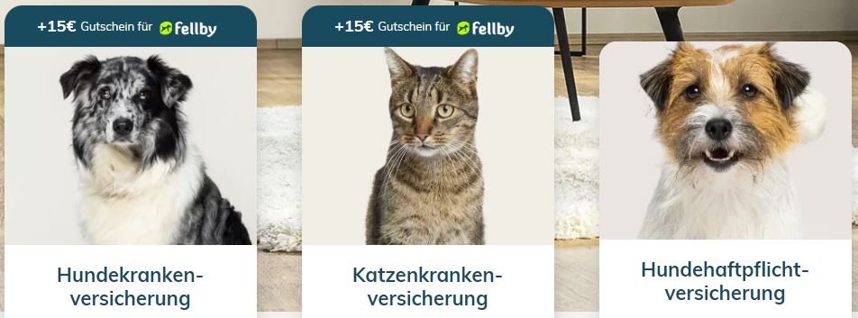 Hunde- / Katzenkrankenversicherung Bei PETPROTECT + 15€ Bonus