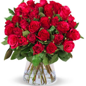 🌹 44 rote Rosen für 29,48€ inkl. Versand