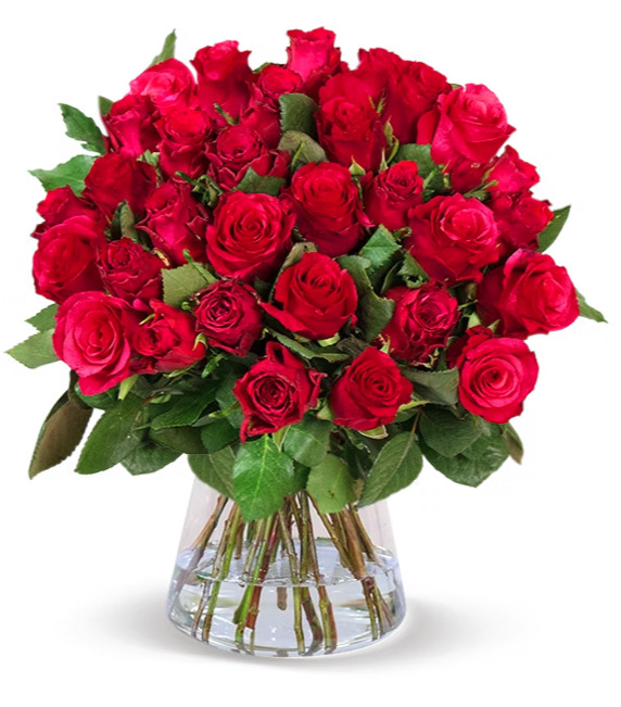 Thumbnail 🌹 44 rote Rosen für 29,48€ inkl. Versand