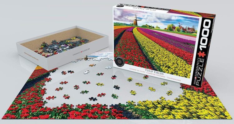 Puzzle Eurographics Tulpenfelder Niederlande