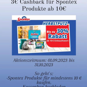 Spontex Produkte ab 10€ einkaufen 3€ Rabatt