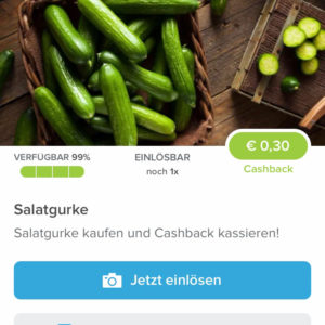 Salatgurke für 0,19€ mit Marktguru