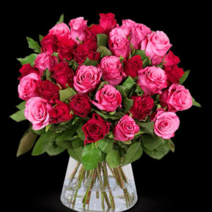 💐 44 RomanticRoses Special Deal für nur 26,98€ inkl. Versand