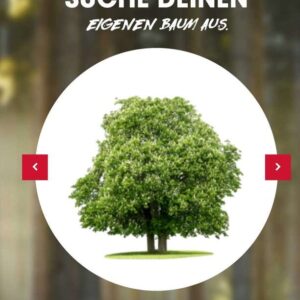 1 Baum gratis pflanzen mit Gerolsteiner Baumpflanzaktion