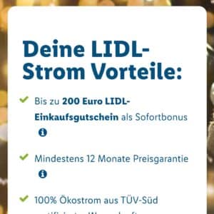 E.ON Strom über Lidl