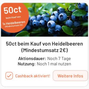 0,50€ Cashback auf Blaubeeren über Smhaggle