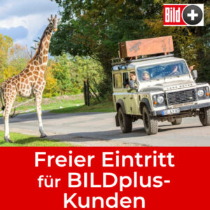 Freier Eintritt Serengeti Park dank BILDplus gratis testen