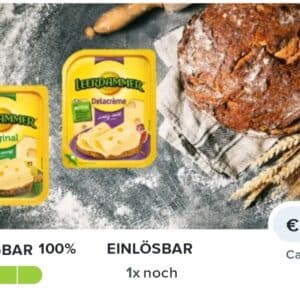 40 ct zurück für Leerdammer Käse Dank Marktguru