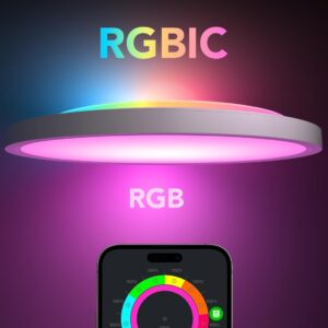 Govee Deckenlampe 🌈 RGBIC Smart ✔️24W ✔️ Ø30cm ✔️ LED Deckenlampe dimmbar ✔️16 Millionen Farben ✔️ Funktioniert mit Alexa &amp; Google Assistant