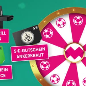 Fan Glücksrad bei Telekom Magenta Moments