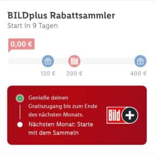 BILDplus gratis bei 200€ Mindestumsatz bei Lidl (monatsweise)