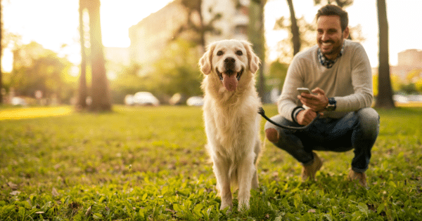 Der Hund Jahresabo