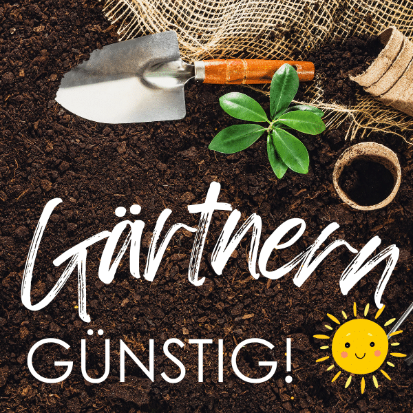 Günstig gärtnern: 9 Tipps, wie ihr im Garten sparen könnt!