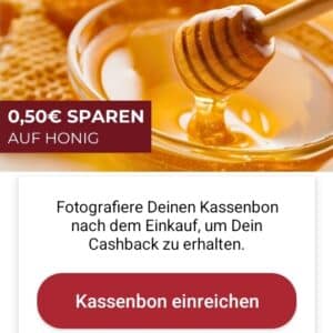 Scondoo 50 Cent Cashback auf Honig