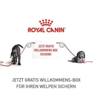 Gratis Willkommensbox für Deinen Welpen sichern