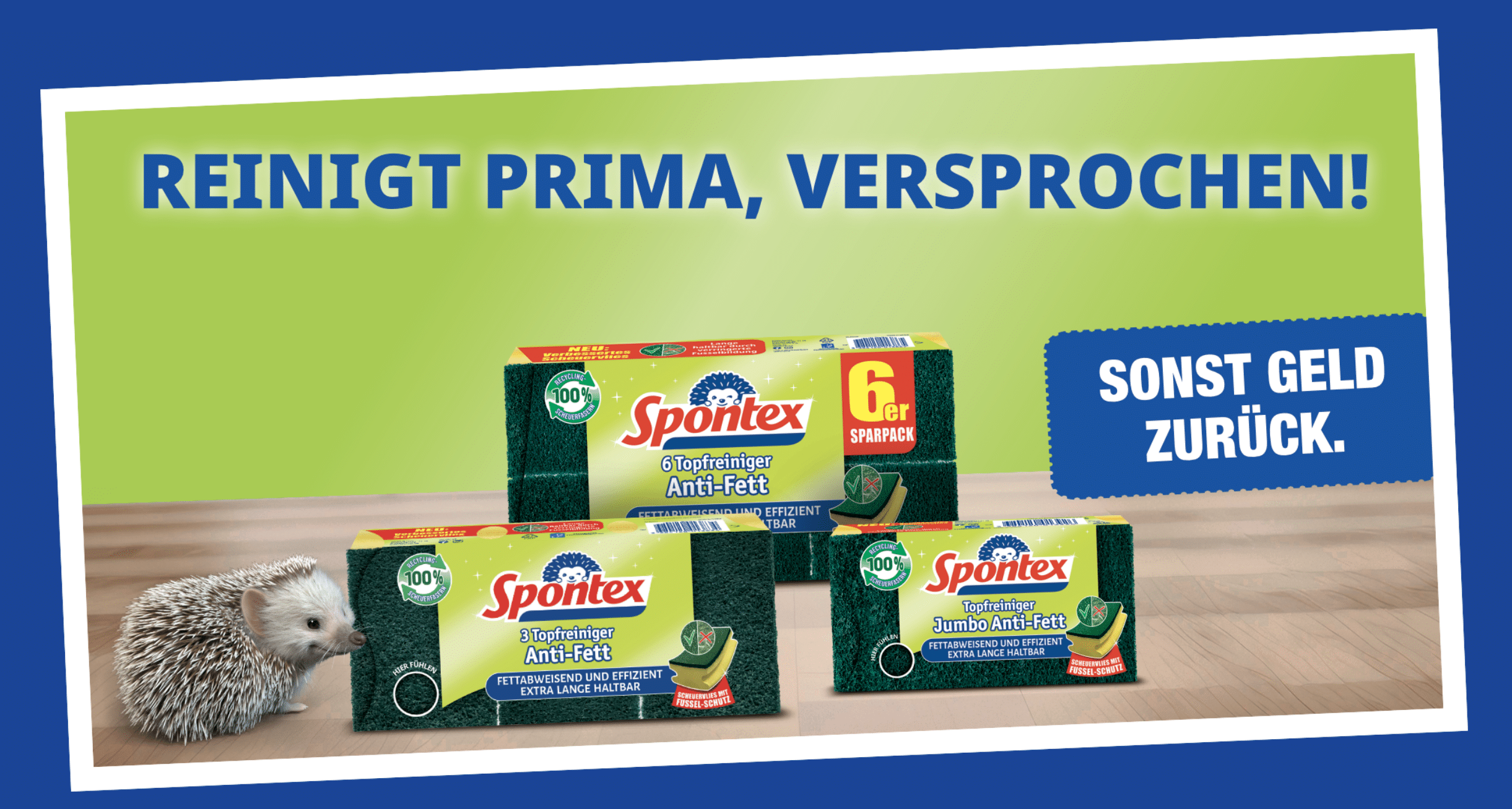 Spontex Topfreiniger gratis testen