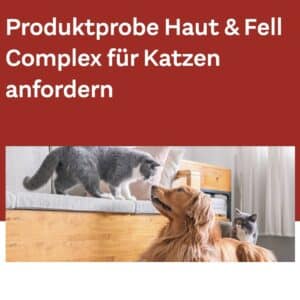 Produktprobe Haut & Fell Complex für Katzen kostenlos bestellen von Doppelherz