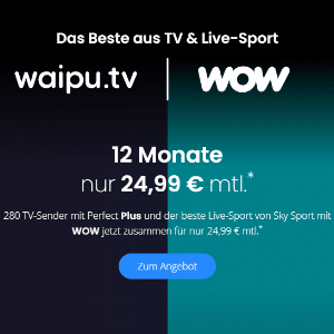 WOW 🤩 Der perfekte Deal für Bundesliga-Fans ⚽️ Bundesliga, Premier League, Formel 1, Live-Sport & alle TV-Sender in HD für 24,99€ mtl.